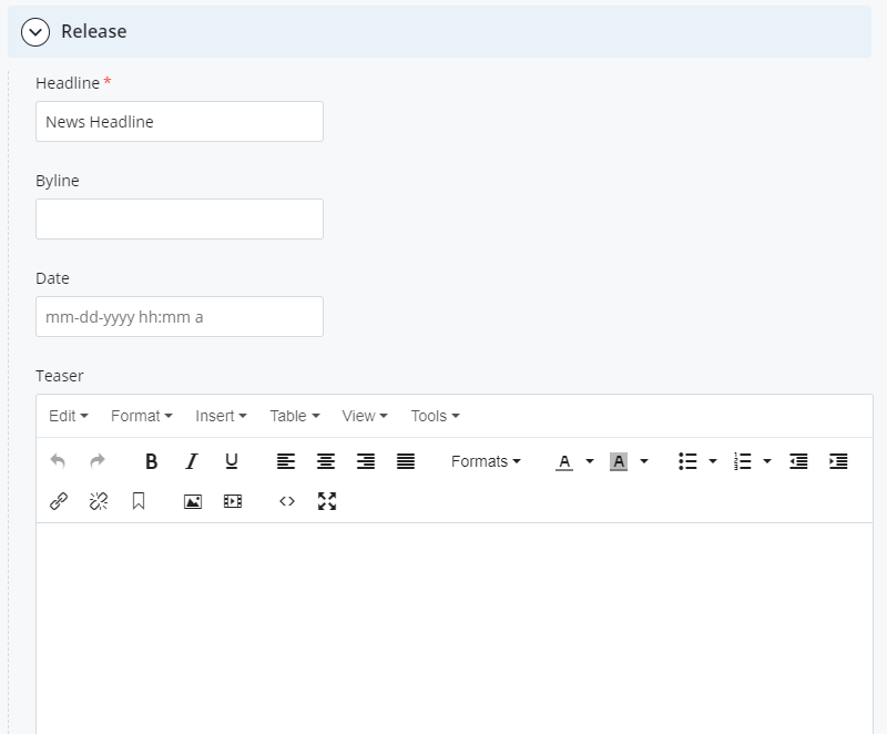 Screenshot of headline field, by line, publish date field, and teaser text field.