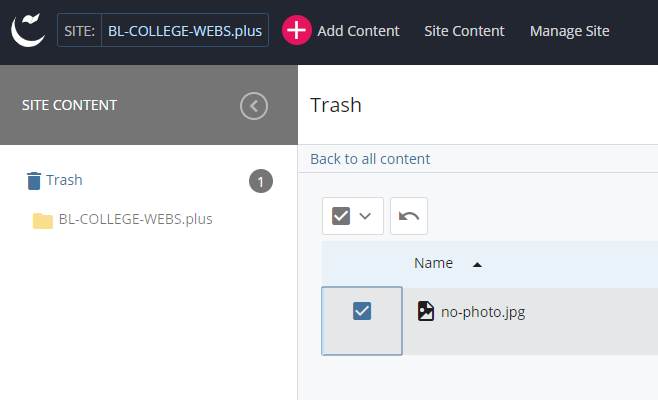 Screenshot of a selected item in the trash bin